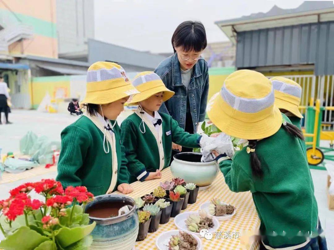 慈溪市城东幼儿园图片