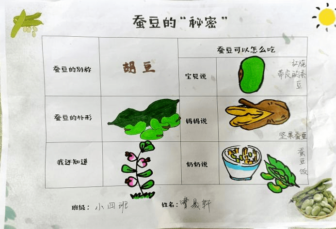 种子食物调查表图片