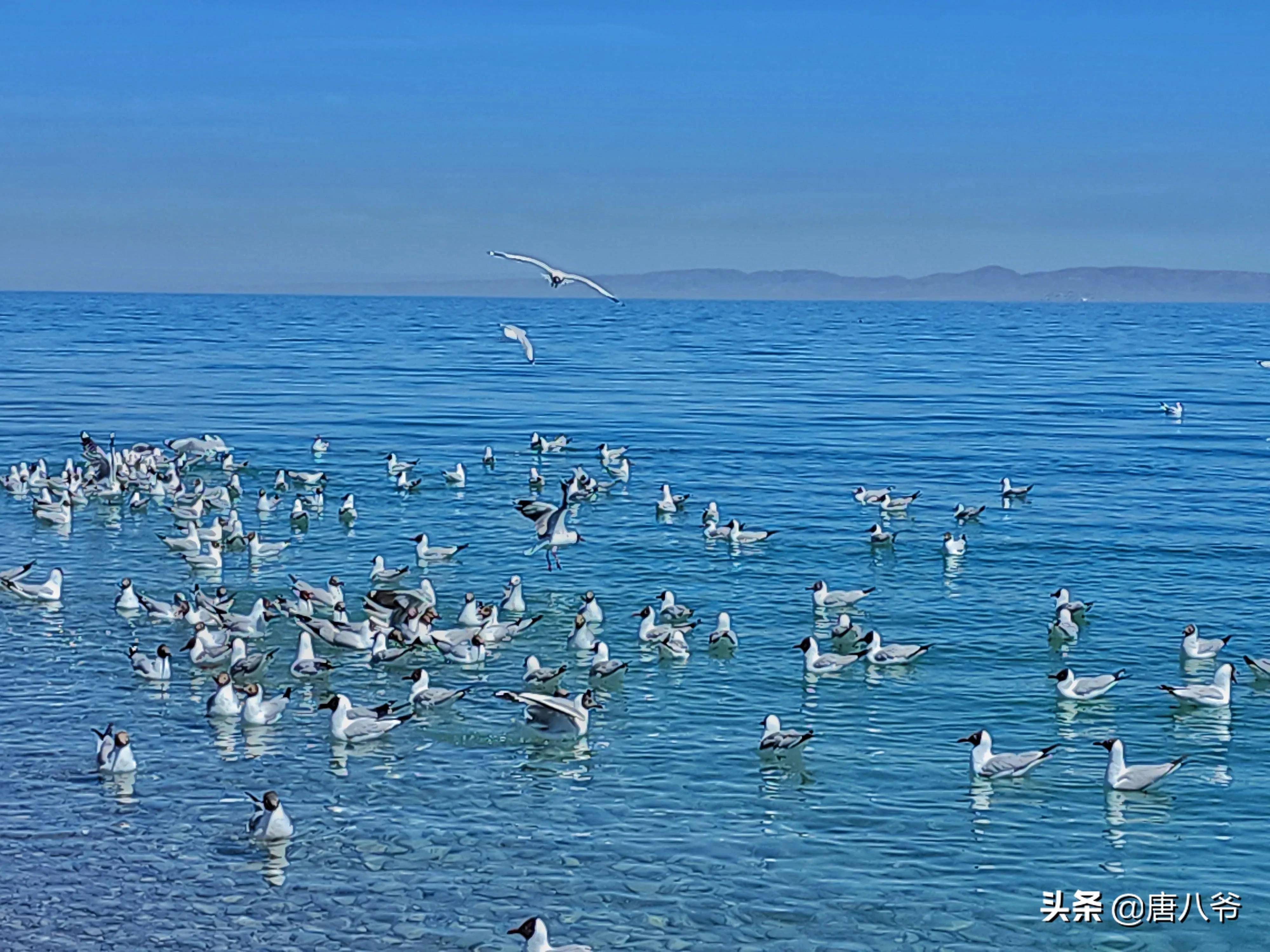 大理祥云县青海湖图片