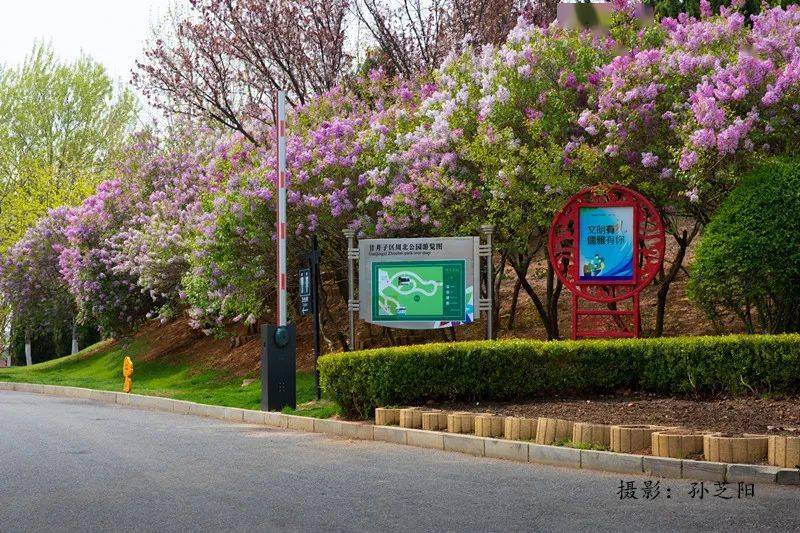 交通:地铁1号线松江路站(a口),1108路富强路站,8,1109路嘉汇三中站,38