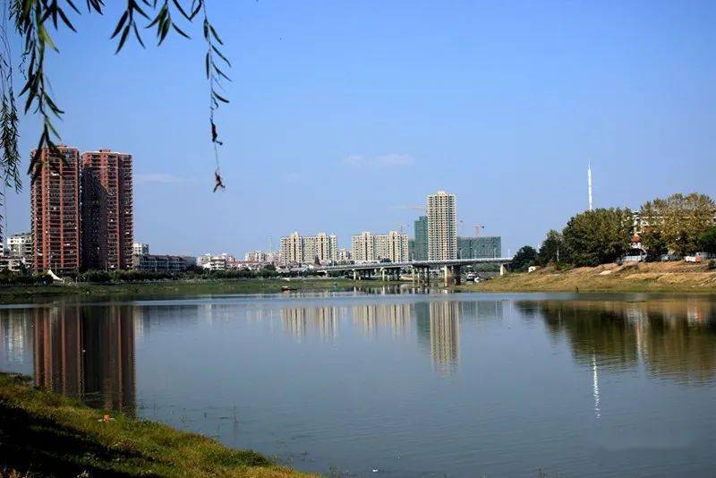 关于黄陂滠水河东堤挖掘施工相关问题区水务局回复