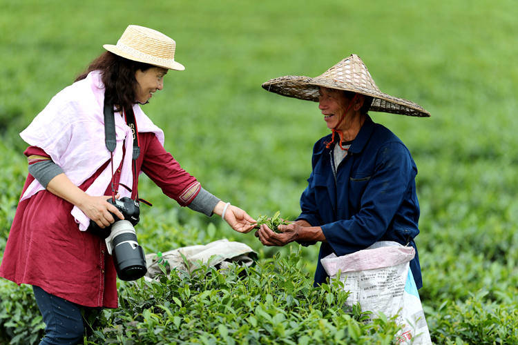 雅安名山：做好乡村旅游文章 茶旅融合走出新路子