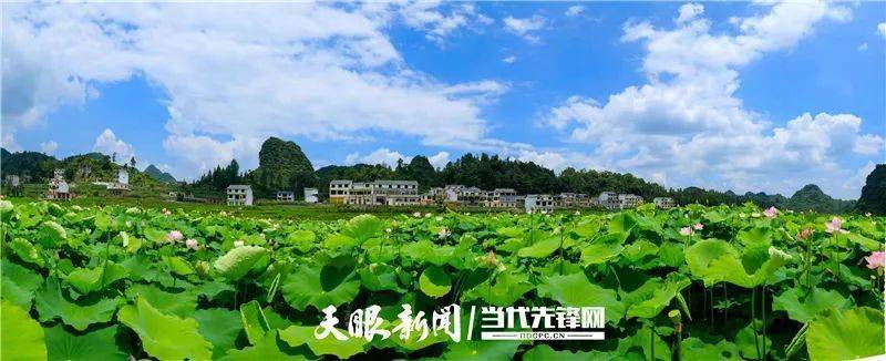 普定水井村旅游农业铺就美丽乡村新画卷