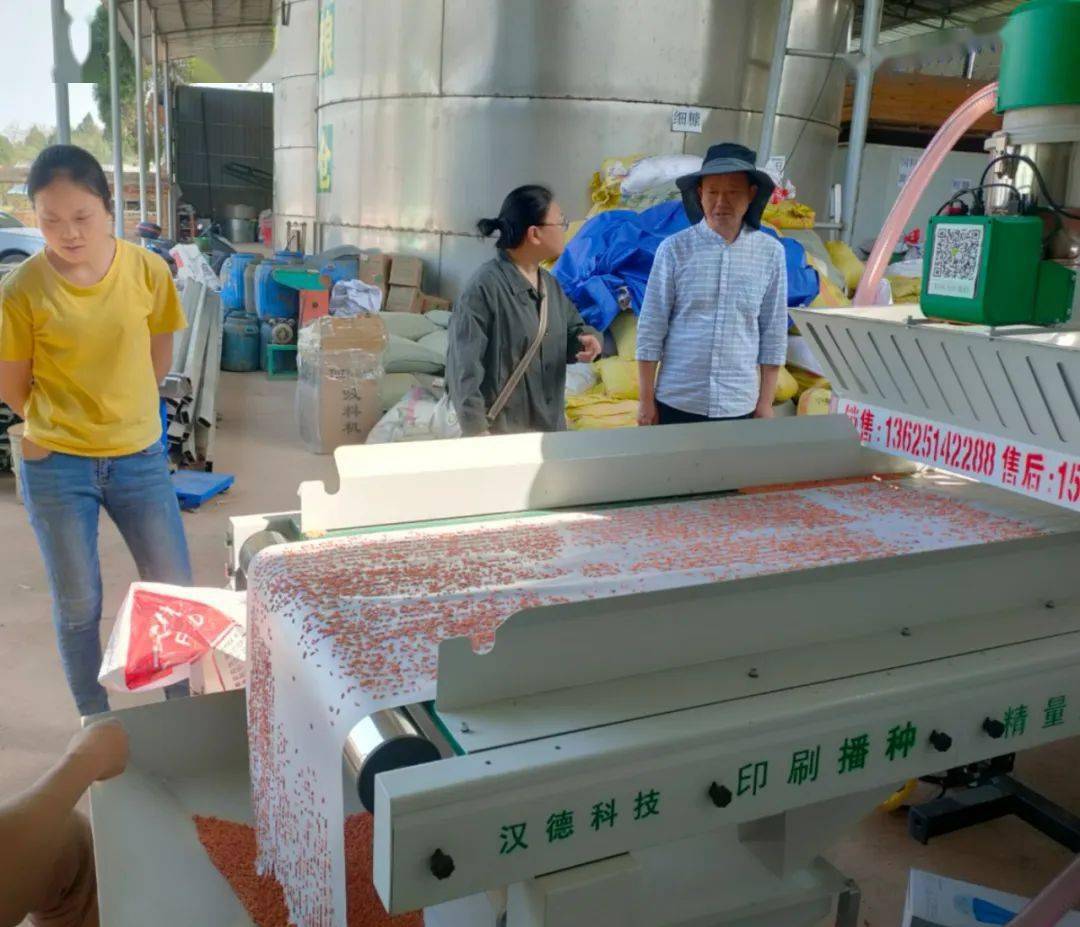 在龍形鎮,巨牛農機專業合作社引進水稻育秧播種流水生產線,捷佳農機