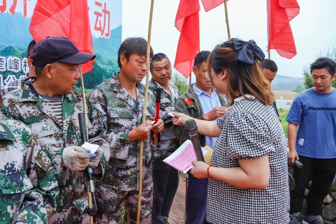 油菜收割大比拼涇縣這群人在田裡忙得熱火朝天現場歡聲笑語