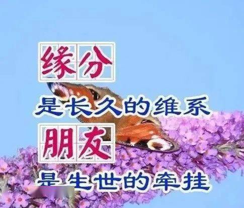 朋友今生的牵挂