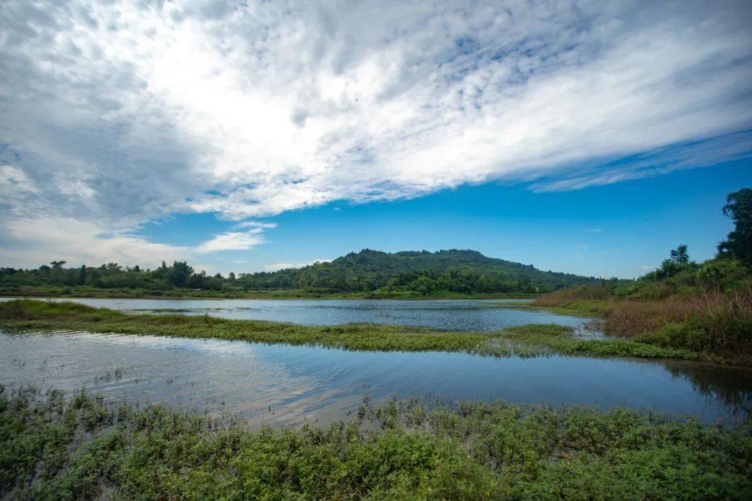 晒文化晒旅游金山镇三大作品今晚正式上线