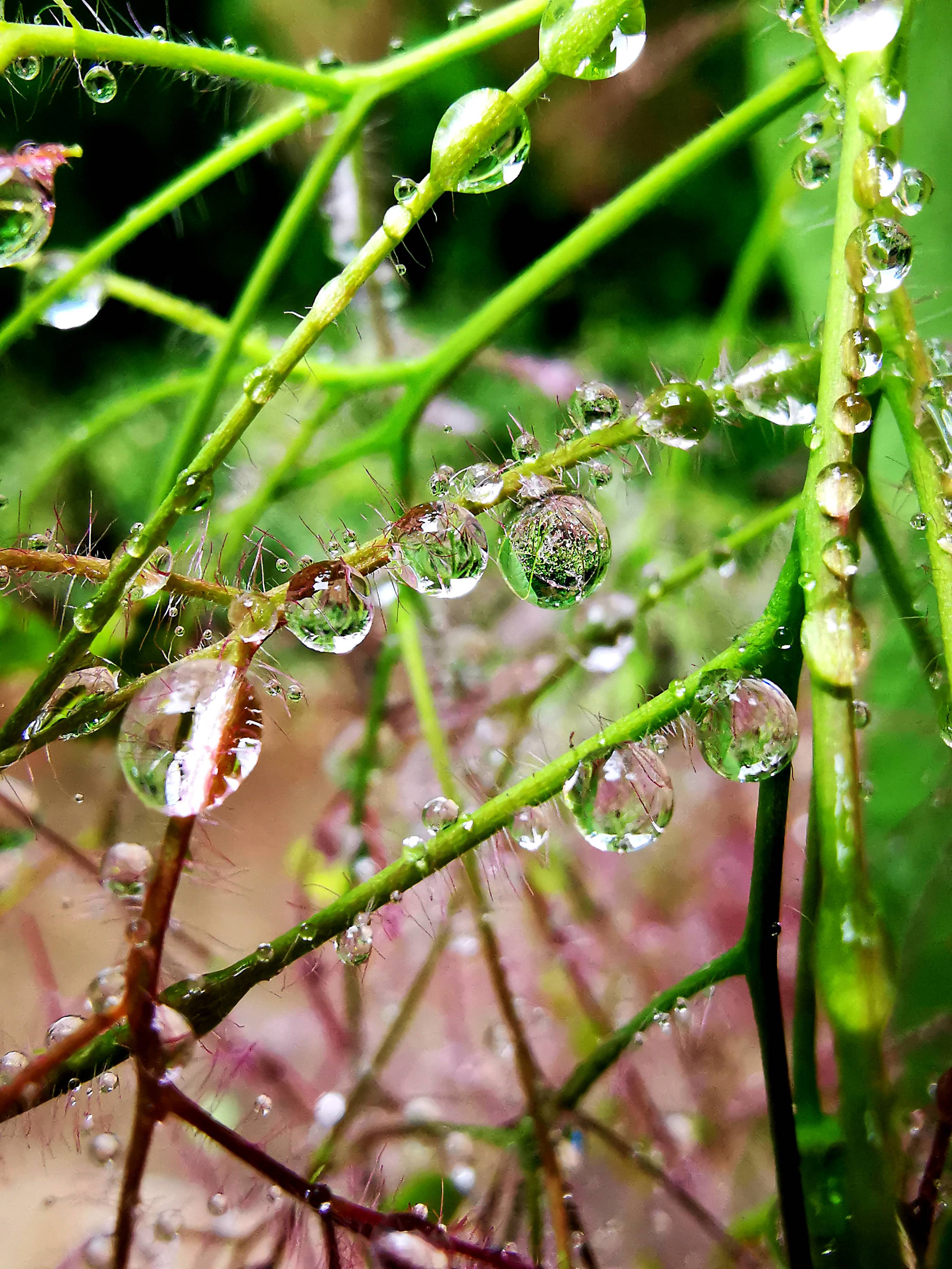 雨后的济南清晨