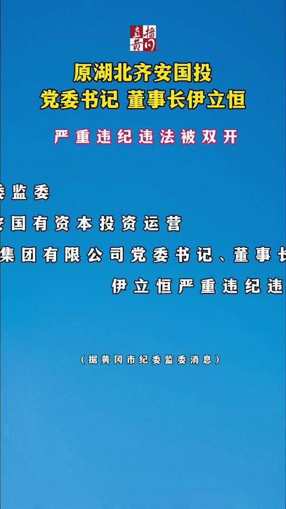 原湖北齐安国投党委书记董事长伊立恒严重违纪违法被双开黄冈