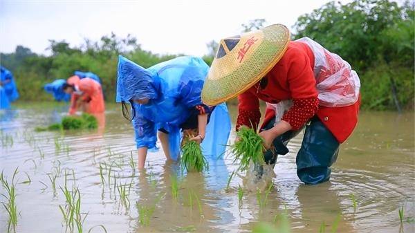 冷水滩学生快餐图片