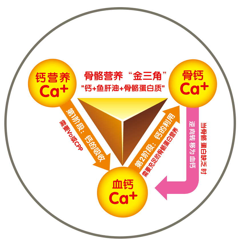 琥珀密蜡的功效与作用