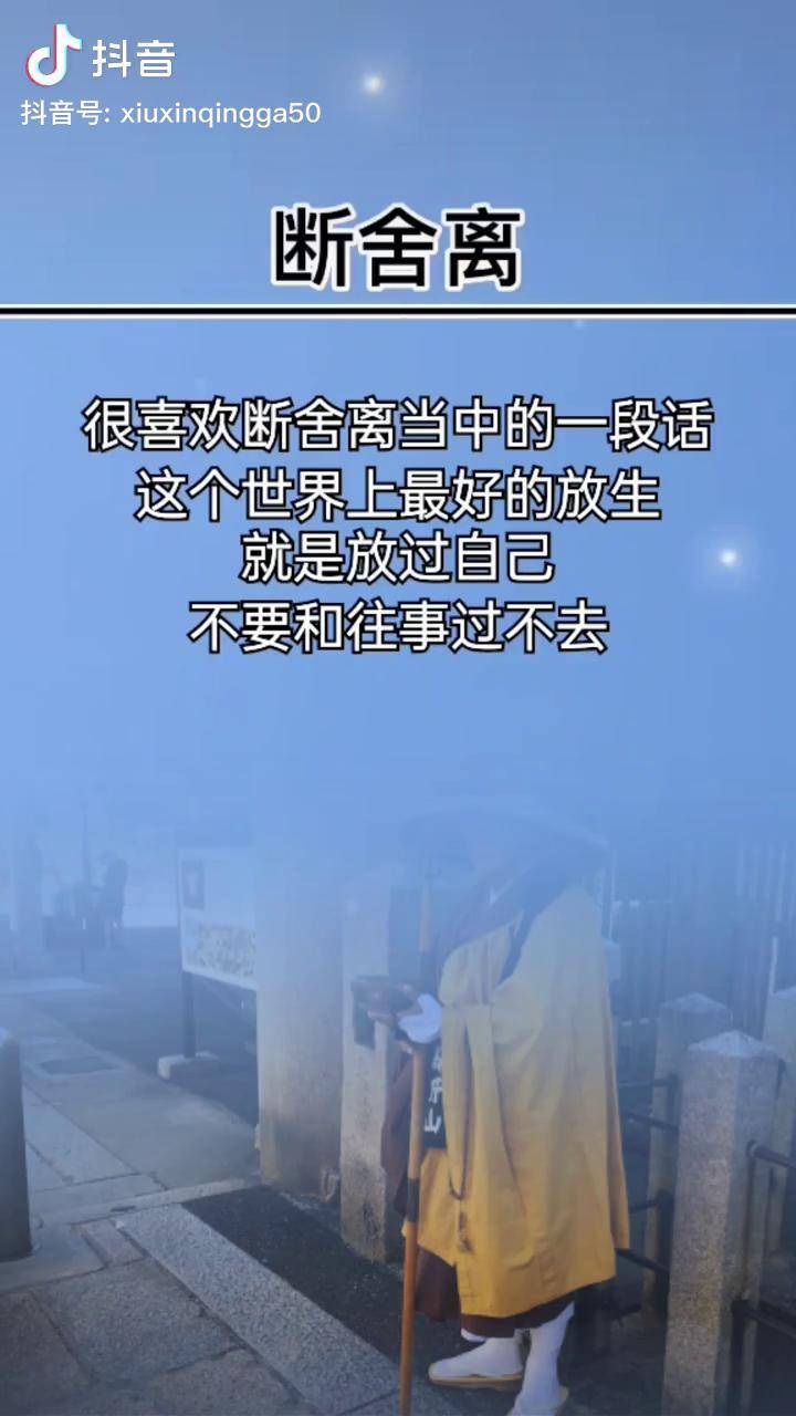 生命中无缘的人当舍婚姻情感人生感悟生活感悟