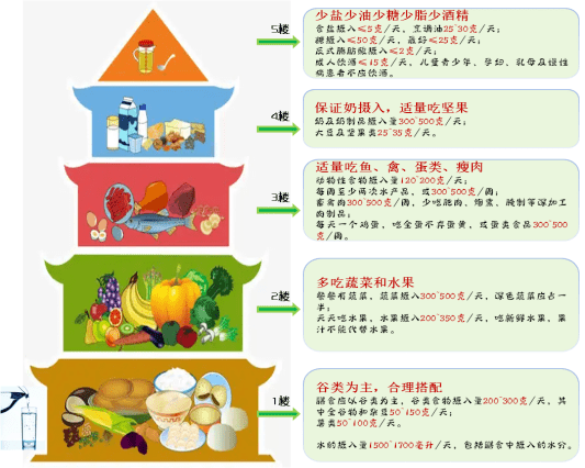 新版居民膳食指南推文_食物_餐盘_宝鸡市