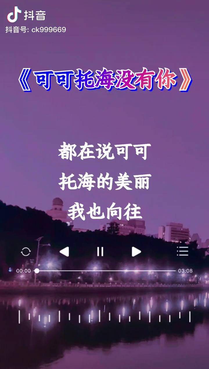 那夜的雨也没能留住你冷冷的风它陪着我哭泣可可托海没有你伤感音乐