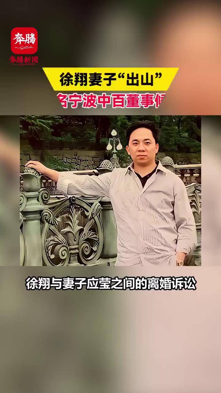 徐翔妻子出山被提名宁波中百董事候选人