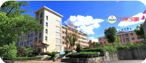 他山之石,可以攻玉——大成中学高二学科宣讲团(一)_经验_语文_格言