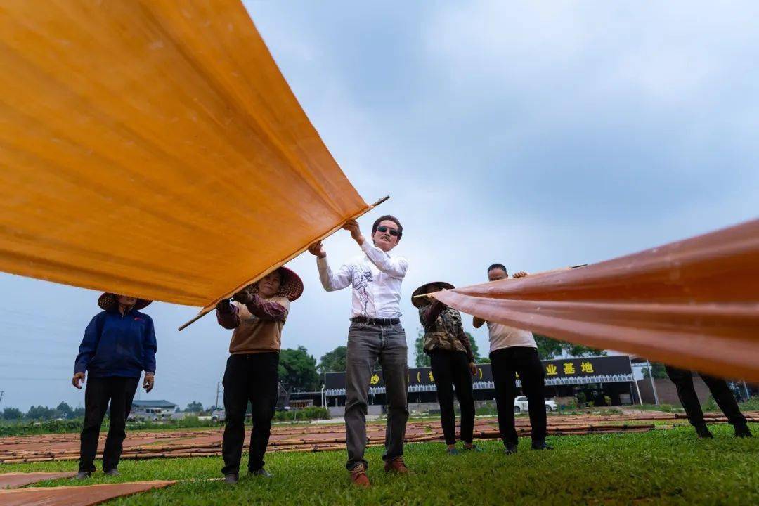 许鸿飞赴湴湄村云纱星韵香云纱产业园调研考察
