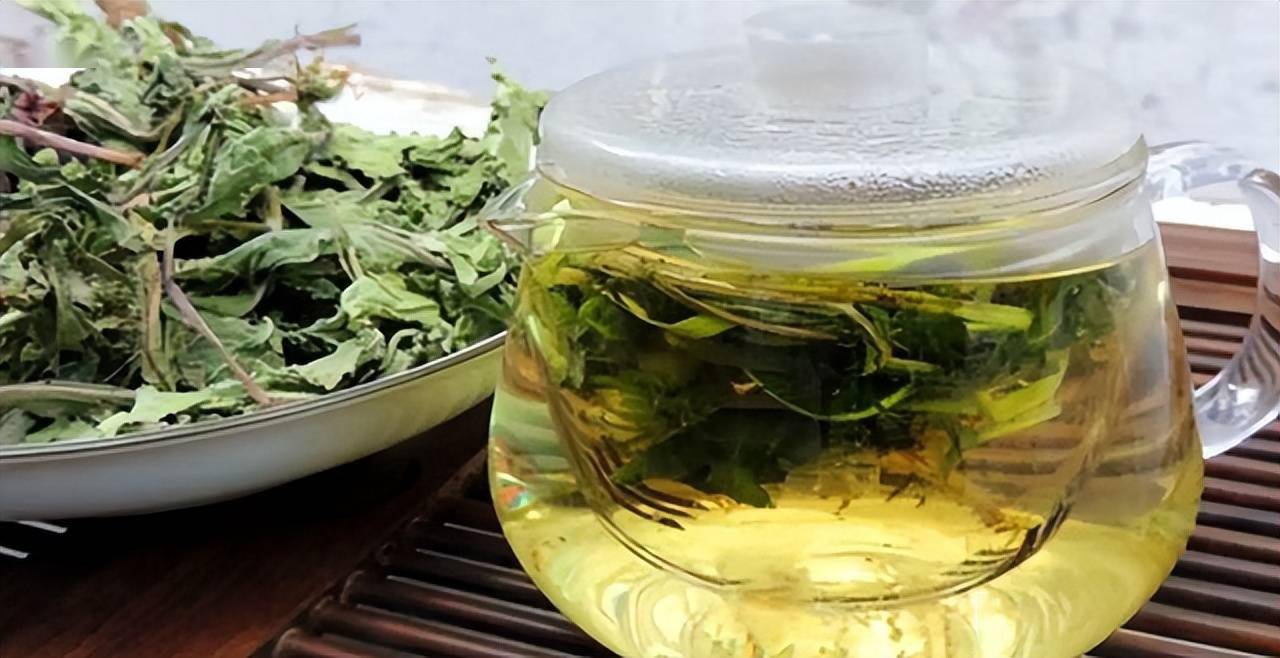 常用蒲公英泡水喝身体会收获啥好处提醒4类人尽量别凑热闹