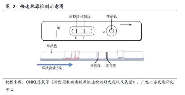 新冠检测试纸原理图片