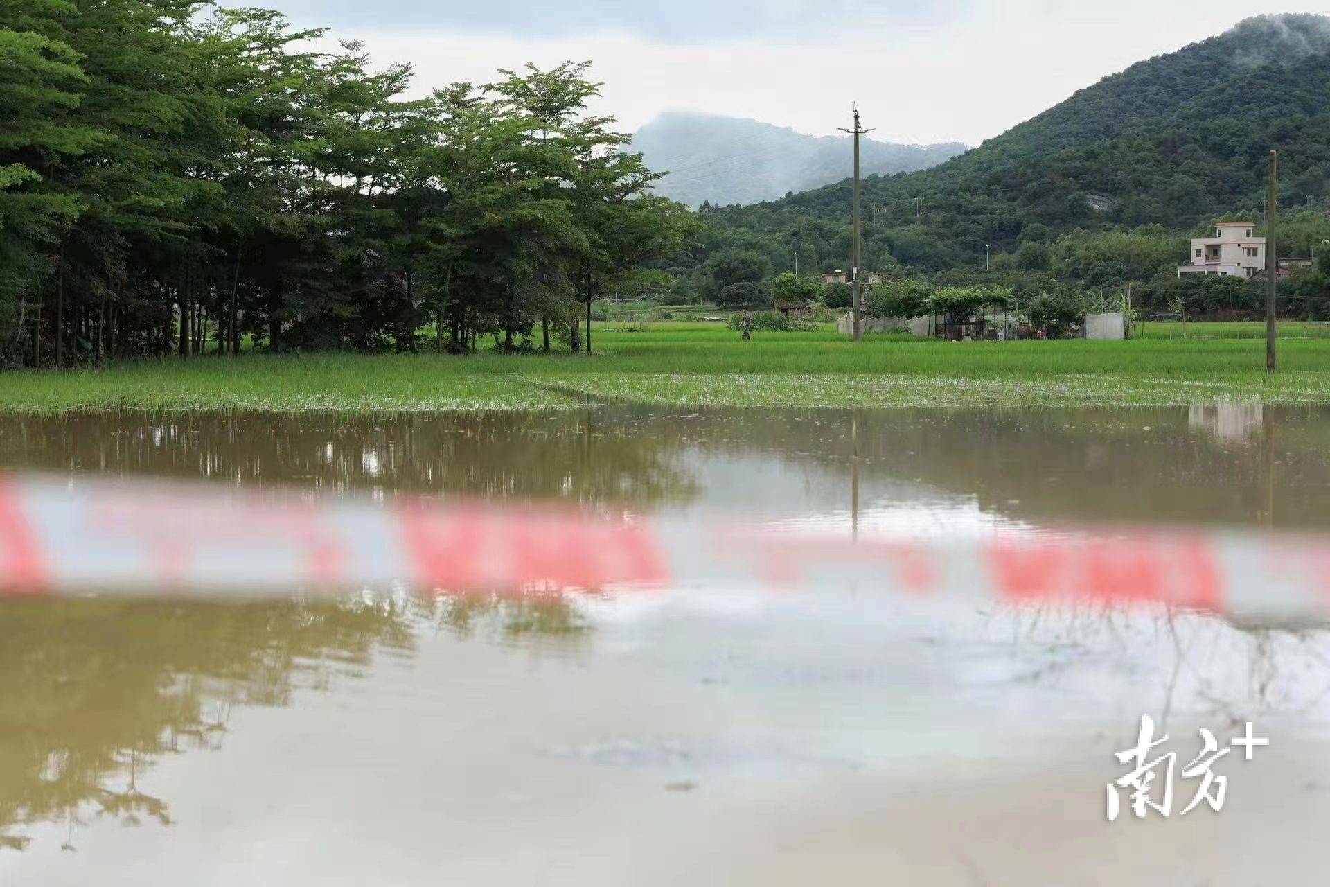 广州最高暴雨预警已达红色！这些情况应当停课_环流_残余_天气
