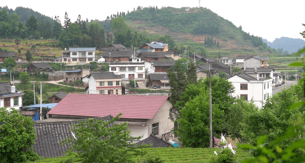奋进新征程建功新时代一碗水乡推动平安乡村建设数字赋能助力乡村振兴
