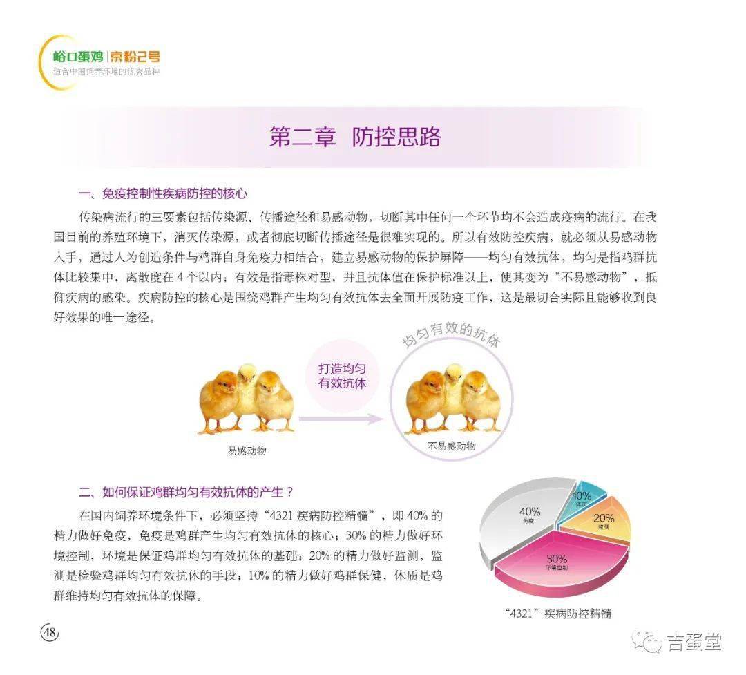 京粉2号蛋鸡2022版饲养管理手册_青年_育种_养殖