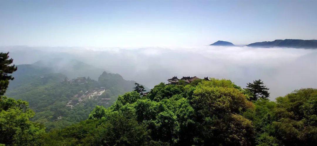 崆峒山的夏天,初出茅庐,含羞而来_周俊_山山_口袋