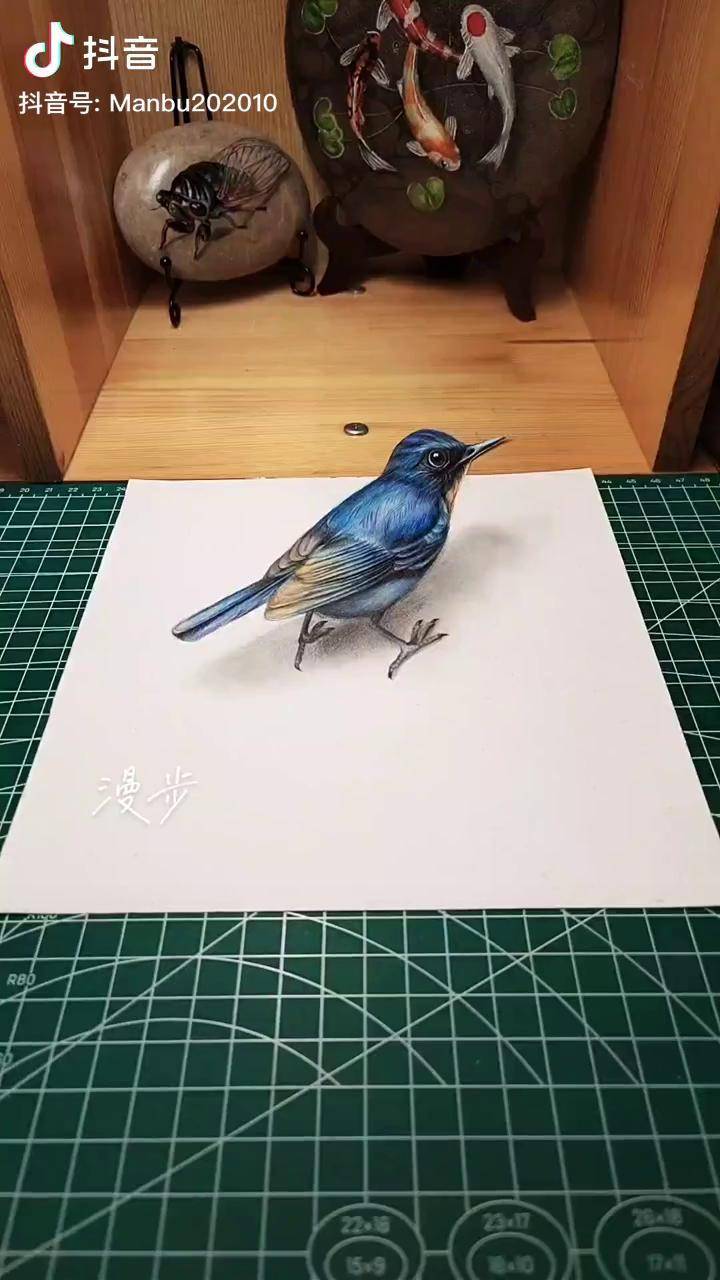 3d立体小鸟立体画让它活了栩栩如生跃然纸上有知道它叫什么名字的吗