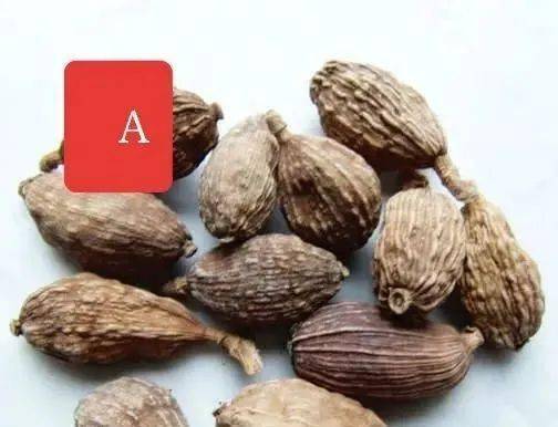 4-6月是罂粟花盛开的季节,它虽然长相艳丽,却是提炼鸦片等毒品的原料