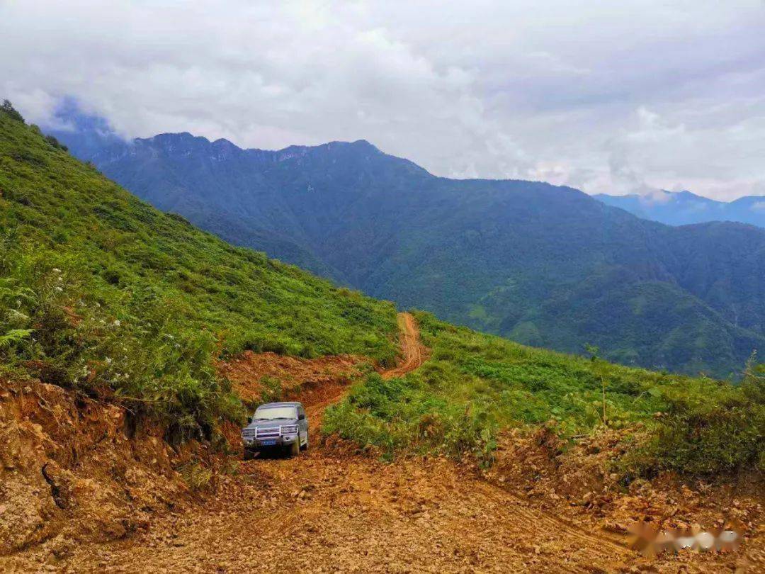 礼赞劳模周煦扎根农村沃土服务三农的践行者
