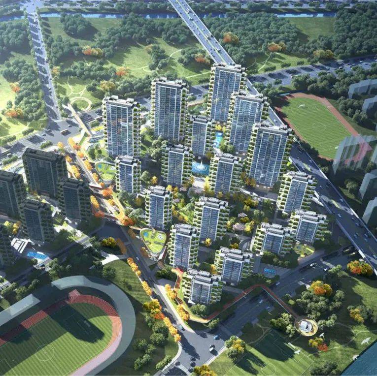 12亿!丽水市区这块地成功卖出_地块_用地_住宅