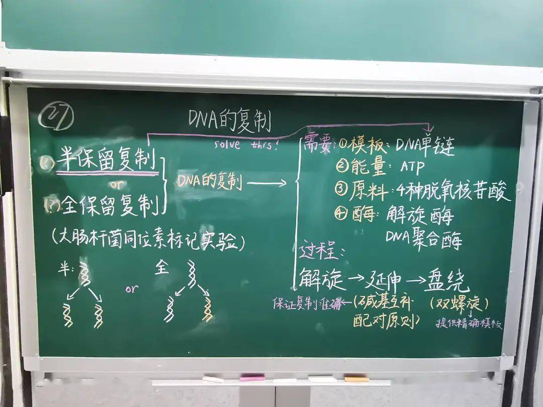 师范声2022年桃李杯钢笔字粉笔字大赛优秀作品分享