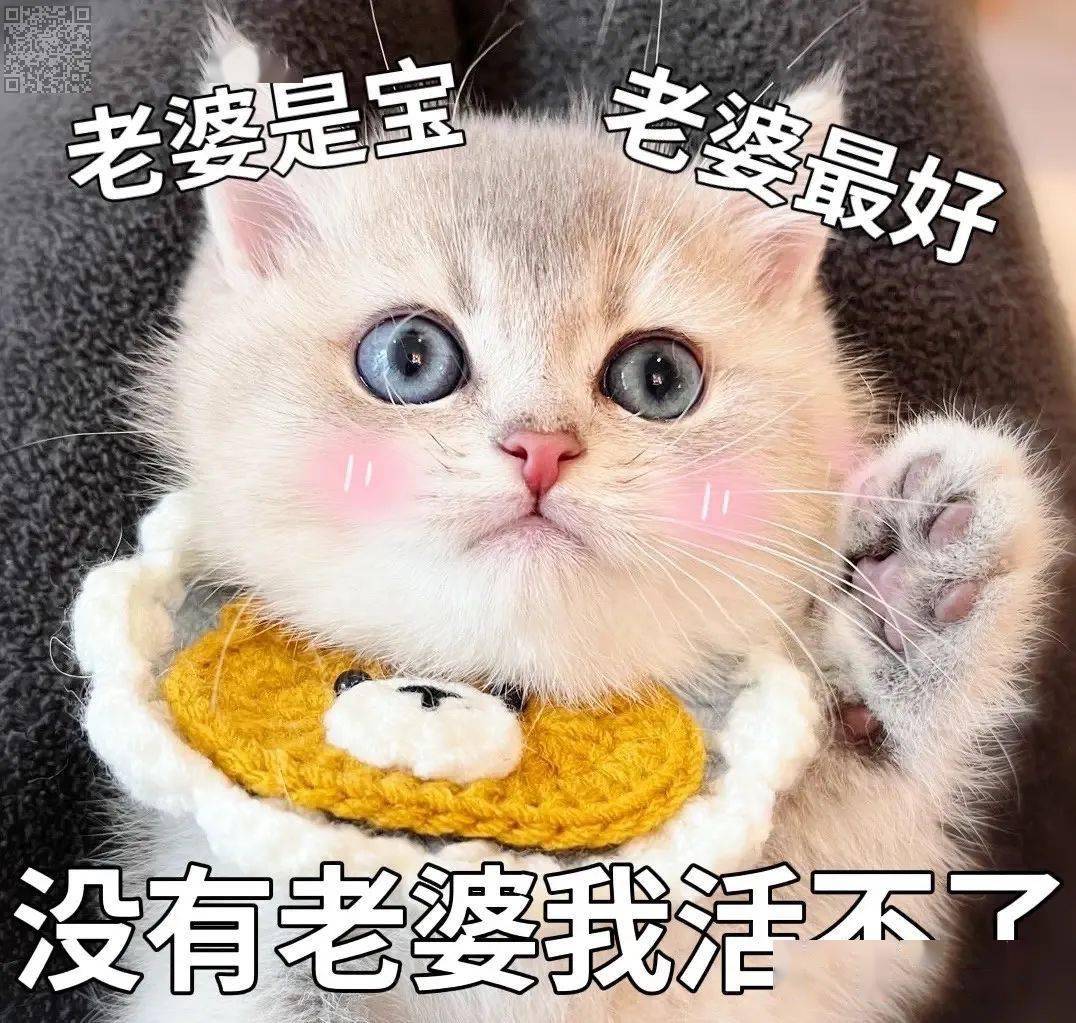 近期热门表情包 i 请你吃巧克力