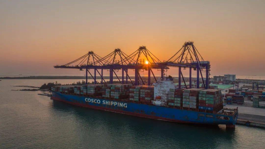 组图视频59秒带您看洋浦国际集装箱码头繁忙的一天