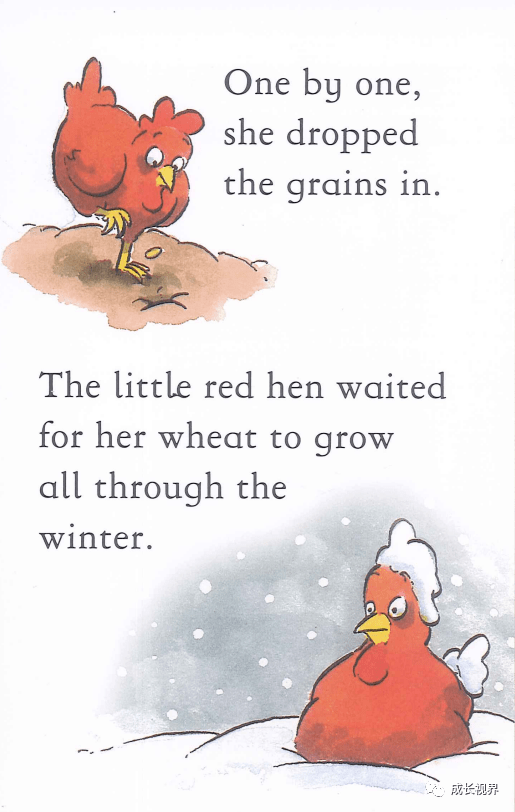 【英文有声绘本】the little red hen