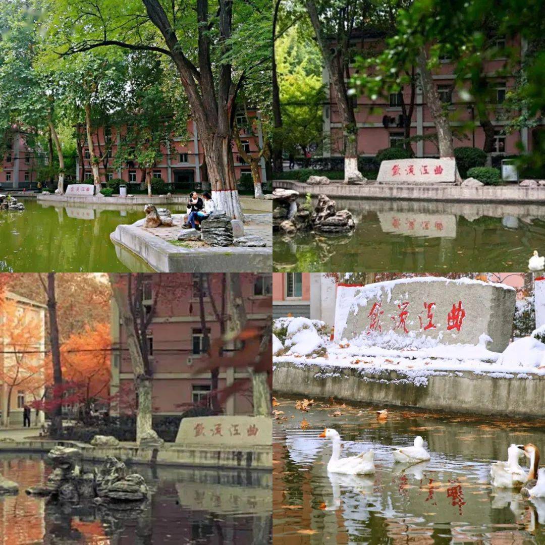红烛闪耀 | 我在阳泉当老师_音乐_刘晓丁_大学