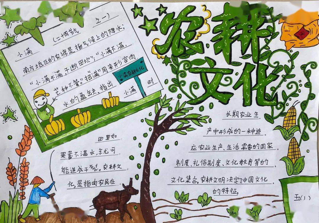 重庆路小学开展小满节气系列主题教育活动