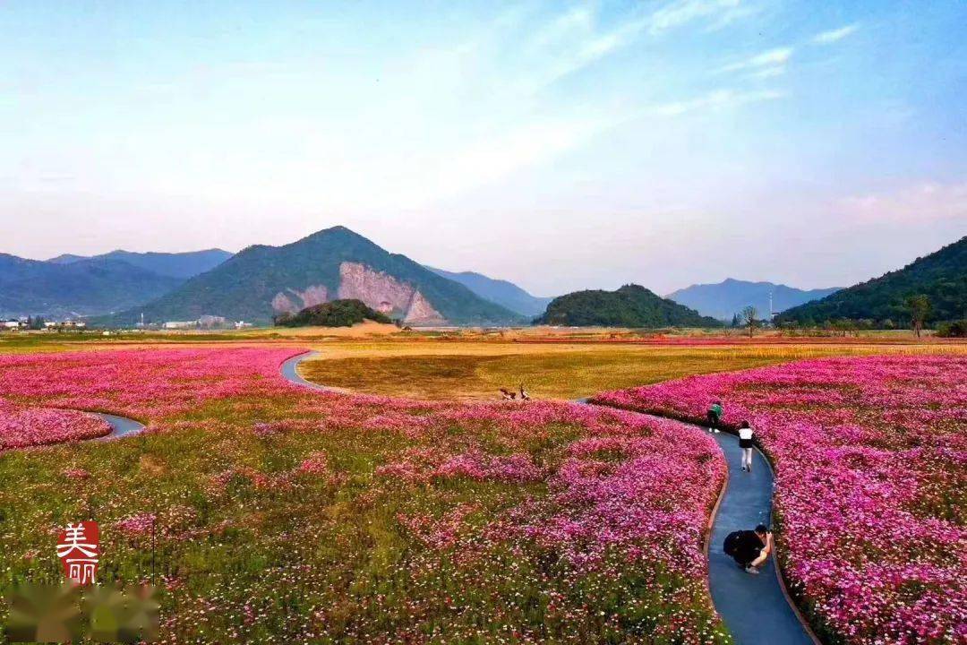 綠道周邊有靈山景區,雲棲小鎮等景點,岸芷汀蘭,金秋錢塘老年公寓,錢江