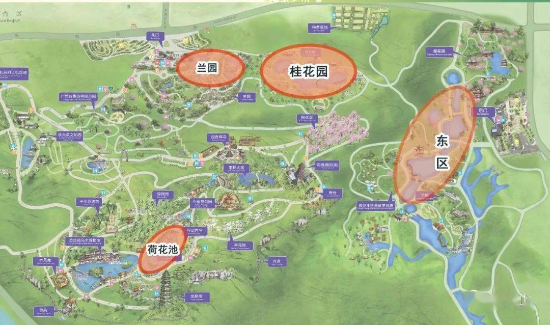 【5月22日】周末活动,青秀山徒步行——少年定向越野_运动_孩子_营地