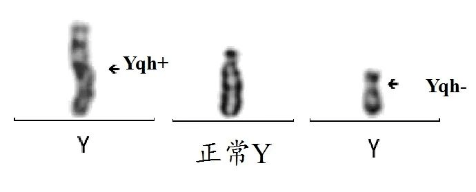倒位 来自搜狐网
