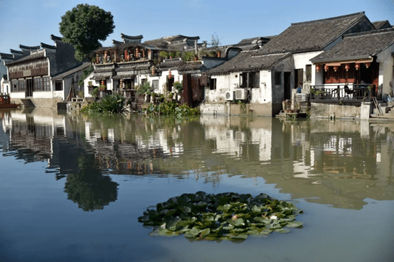 乡村镇兴中国丝绸小镇苏州市震泽镇