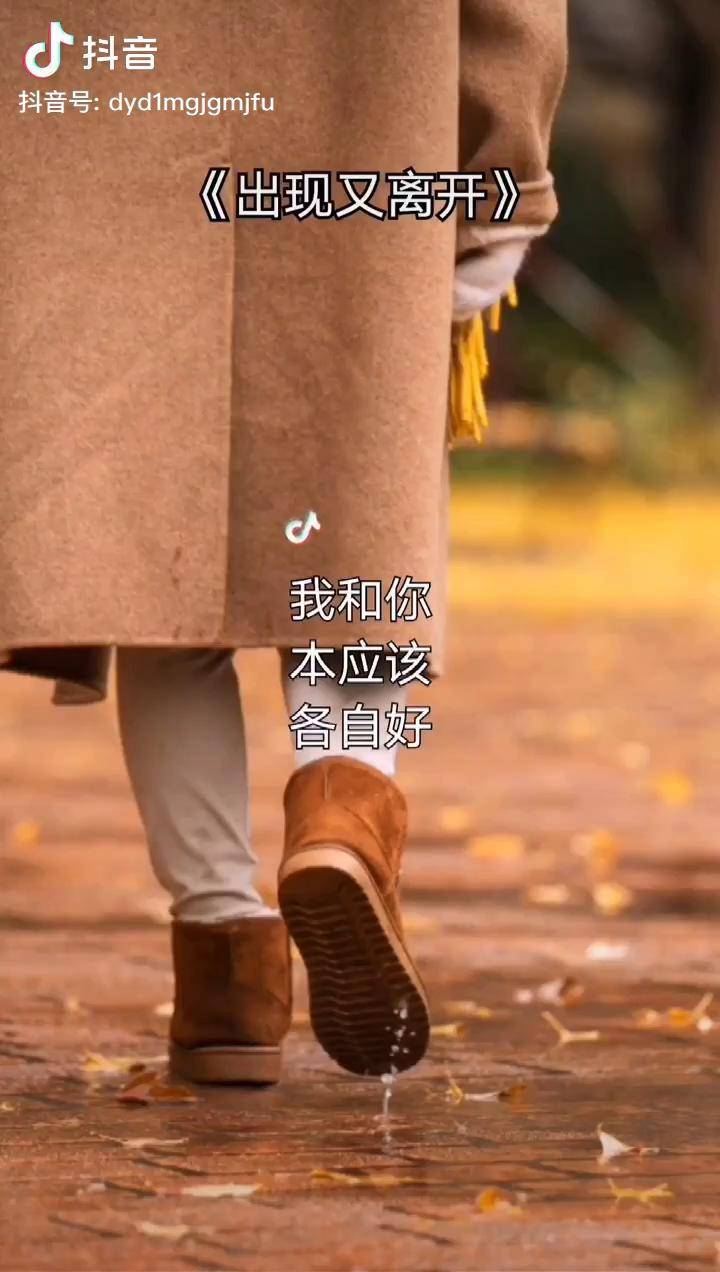 我和你本应该各自好各自坏各自生活的无奈各自生活的无奈