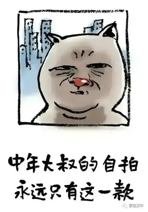 人到中年不得已,漫画解读,精辟透彻,销魂蚀骨!