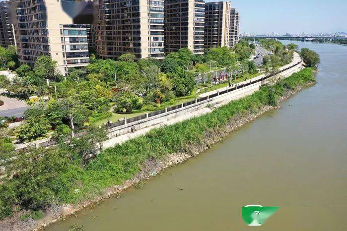 的新津河碧道是这么美 梅溪河碧道今年颜值也将提升_建设_龙湖区_汕头