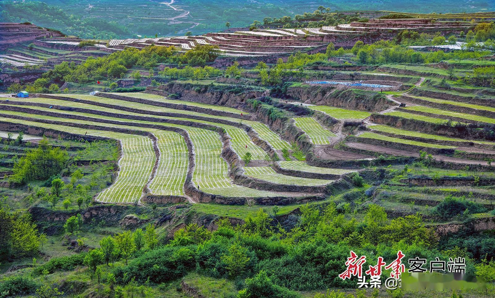 甘肃天水农村图片大全图片