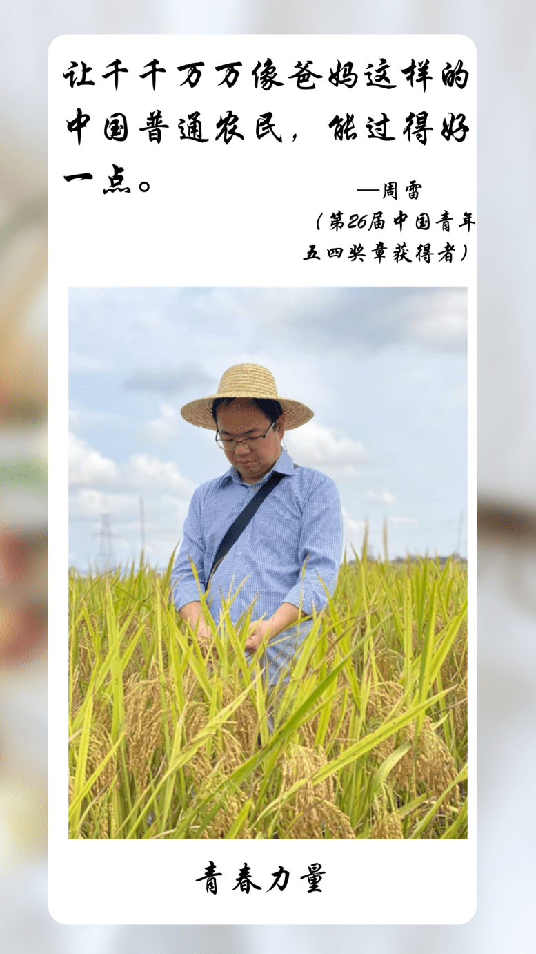 青春力量种子选手周雷为中国稻添中国芯