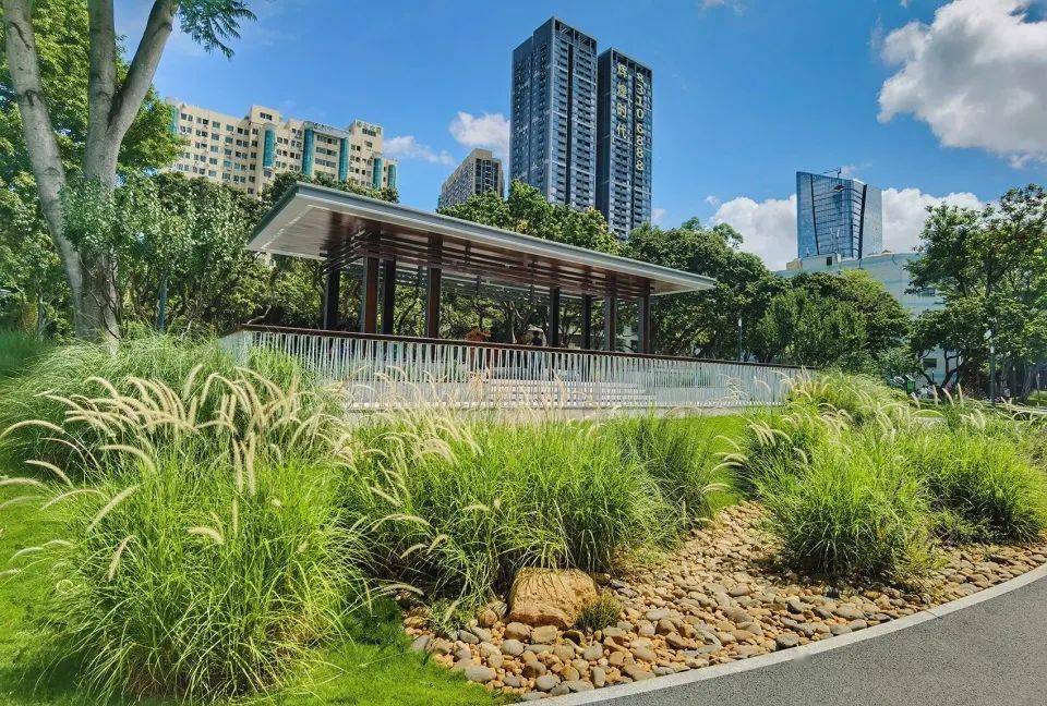 公园植草沟)滞蓄雨水的前哨站——植草沟与下凹式绿地03(万科臻山府