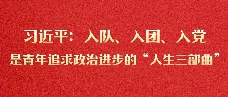 习近平：入队、入团、入党，是青年追求政治进步的“人生三部曲”遵义市基金会服务 2305