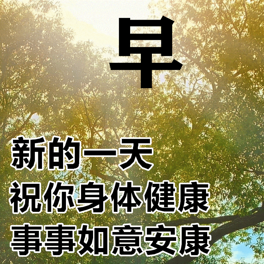 675月19日最漂亮早上好动态表情图片及早晨好动图美图大全67狗与