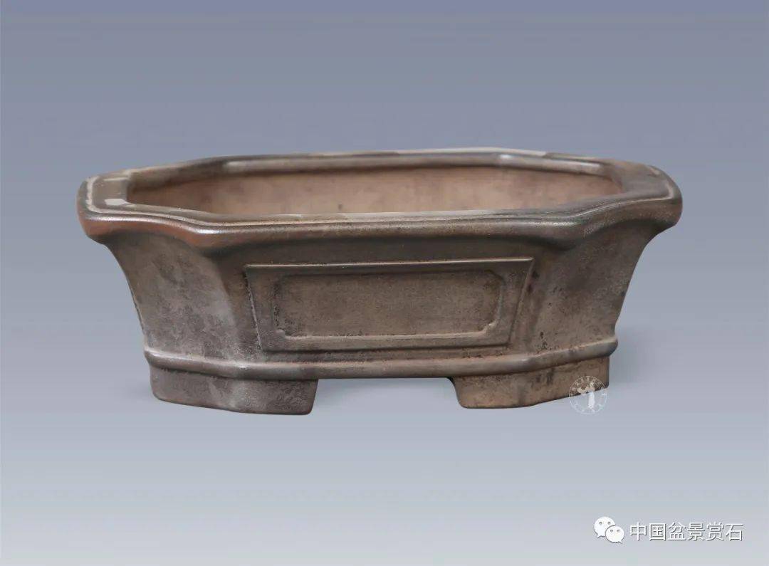 水明盆为何深受盆景界青睐不妨看到最后